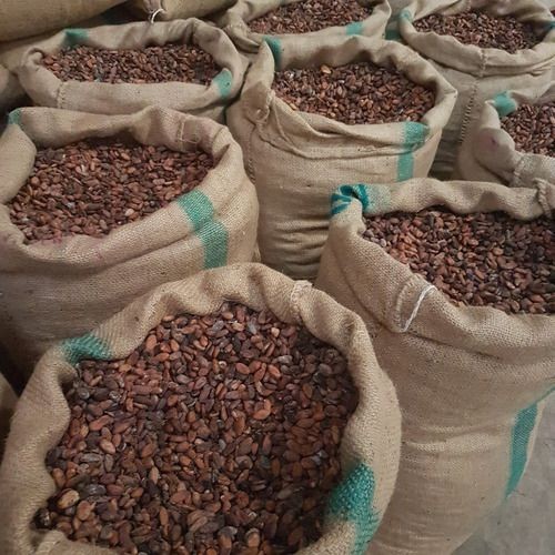 Natural wholesale price dried Raw Cocoa Beans cocoa beans for sale in Cameroon