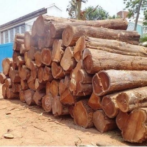 Buy Natural Wood Logs Wholesales Worldwide Export