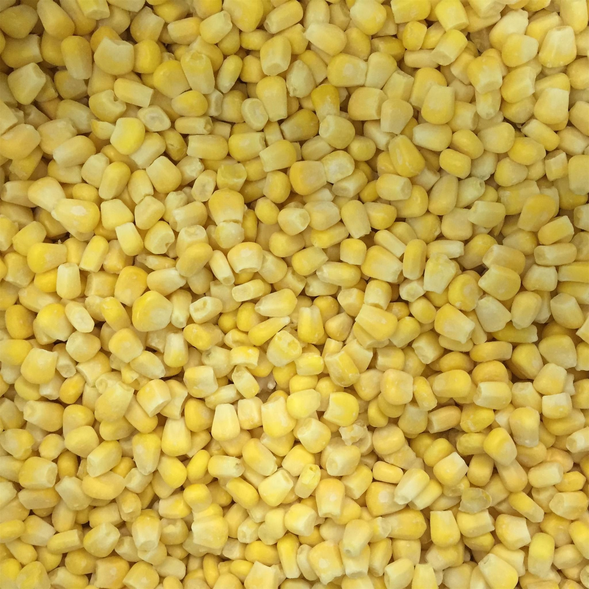 Frozen Sweet Corn on