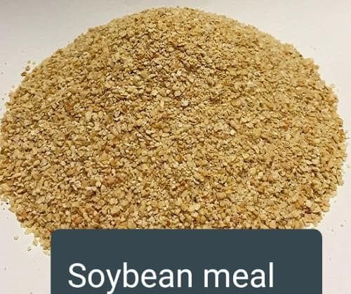 soybean meal