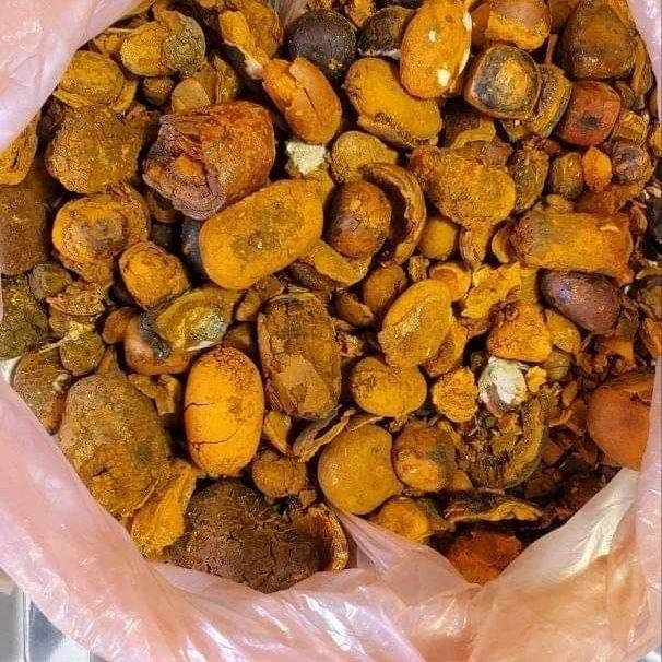 Quality Dried Cow Ox Gallstones / Cattle gallstones