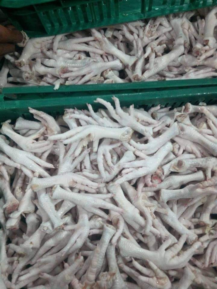 Wholesale chicken paws