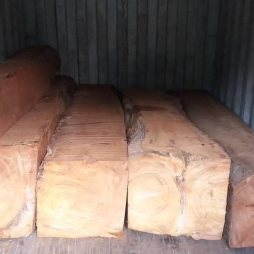 BUY TIMBER WOOD